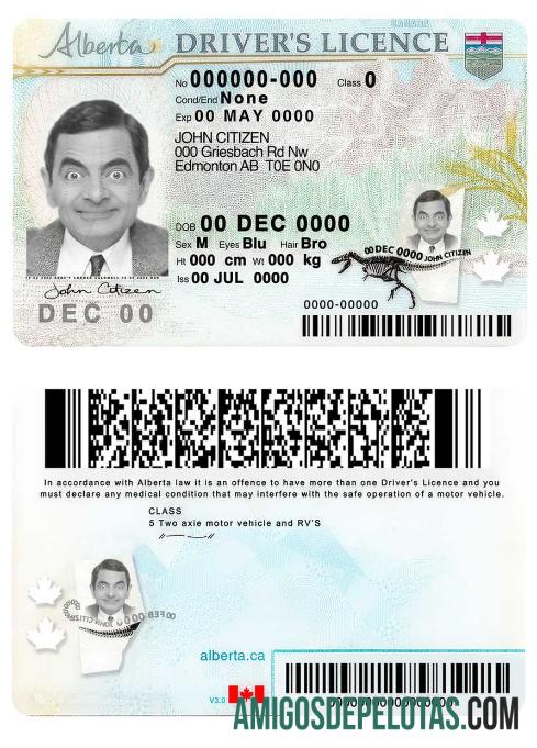 Carteira de motorista da província de Alberta no Canadá exemplo real